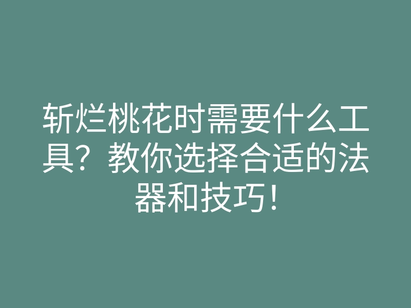 斩烂桃花时需要什么工具?教你选择合适的法器和技巧!