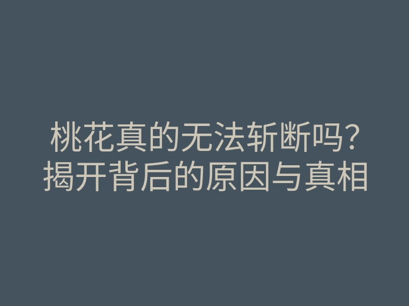 桃花真的无法斩断吗?揭开背后的原因与真相