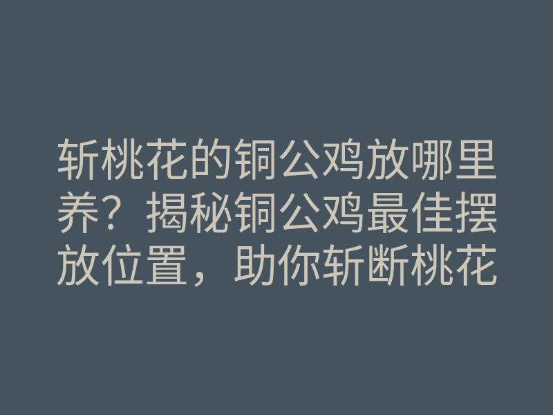 斩桃花的铜公鸡放哪里养?揭秘铜公鸡最佳摆放位置,助你斩断桃花运