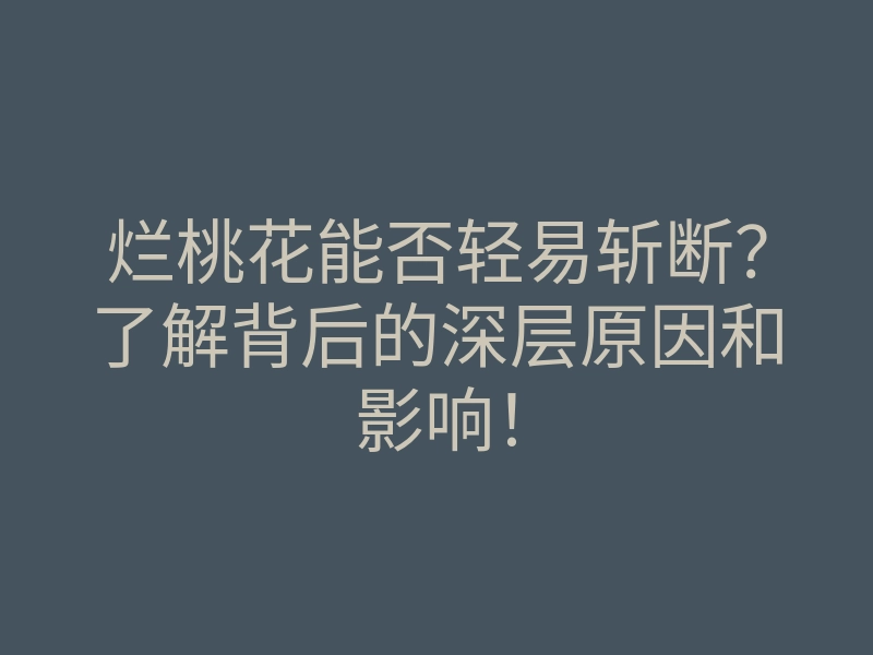 烂桃花能否轻易斩断?了解背后的深层原因和影响!