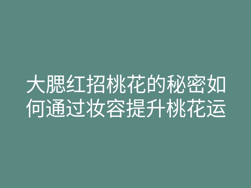 大腮红招桃花的秘密如何通过妆容提升桃花运