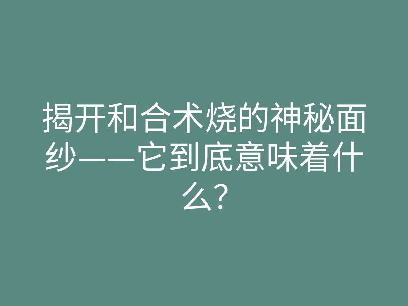 揭开和合术烧的神秘面纱——它到底意味着什么?