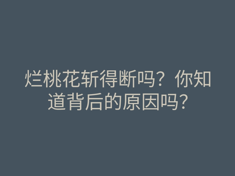 烂桃花斩得断吗?你知道背后的原因吗?