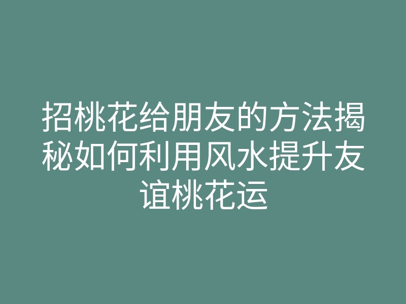 招桃花给朋友的方法揭秘如何利用风水提升友谊桃花运