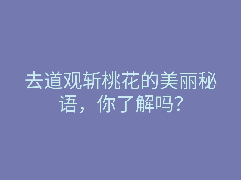 去道观斩桃花的美丽秘语，你了解吗？