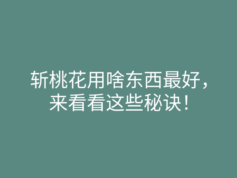 斩桃花用啥东西最好,来看看这些秘诀!