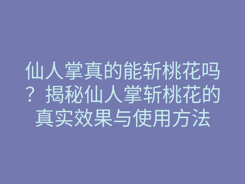 仙人掌真的能斩桃花吗?揭秘仙人掌斩桃花的真实效果与使用方法