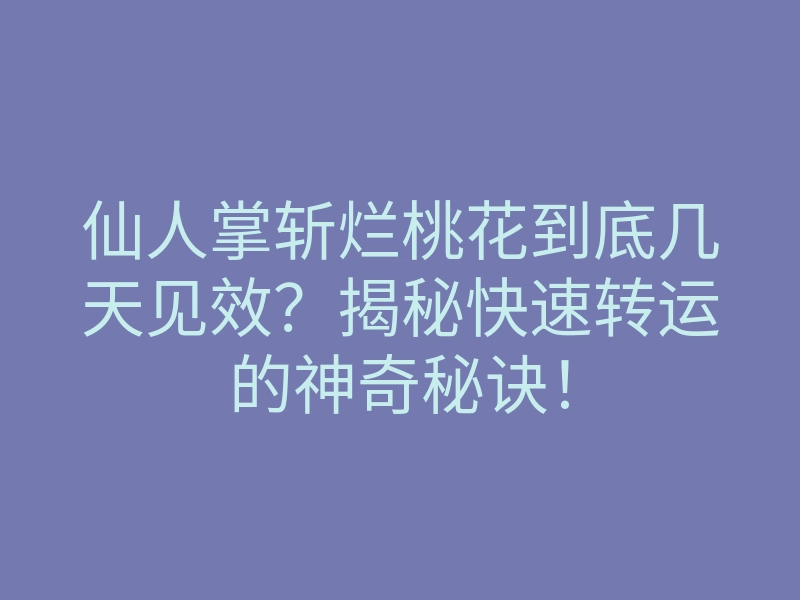 仙人掌斩烂桃花到底几天见效？揭秘快速转运的神奇秘诀！