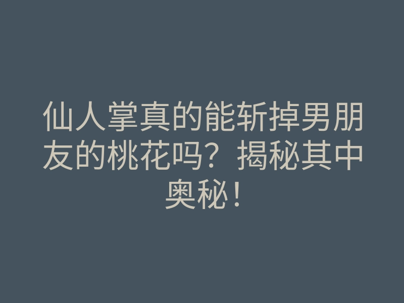 仙人掌真的能斩掉男朋友的桃花吗?揭秘其中奥秘!