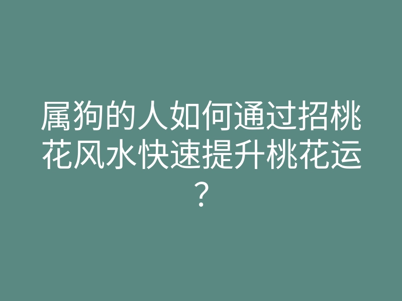 属狗的人如何通过招桃花风水快速提升桃花运?