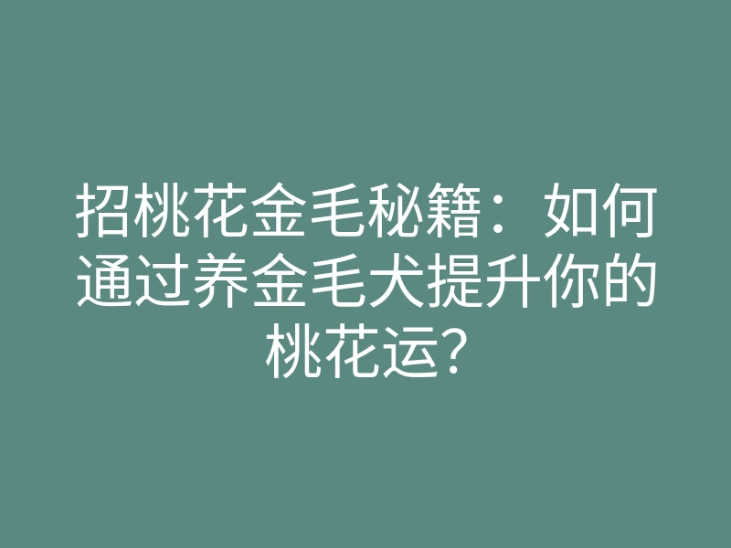 招桃花金毛秘籍:如何通过养金毛犬提升你的桃花运?