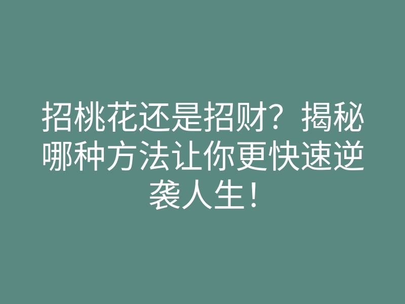 招桃花还是招财?揭秘哪种方法让你更快速逆袭人生!
