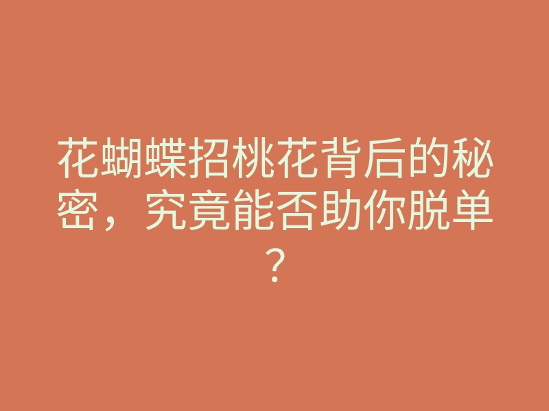 花蝴蝶招桃花背后的秘密,究竟能否助你脱单?