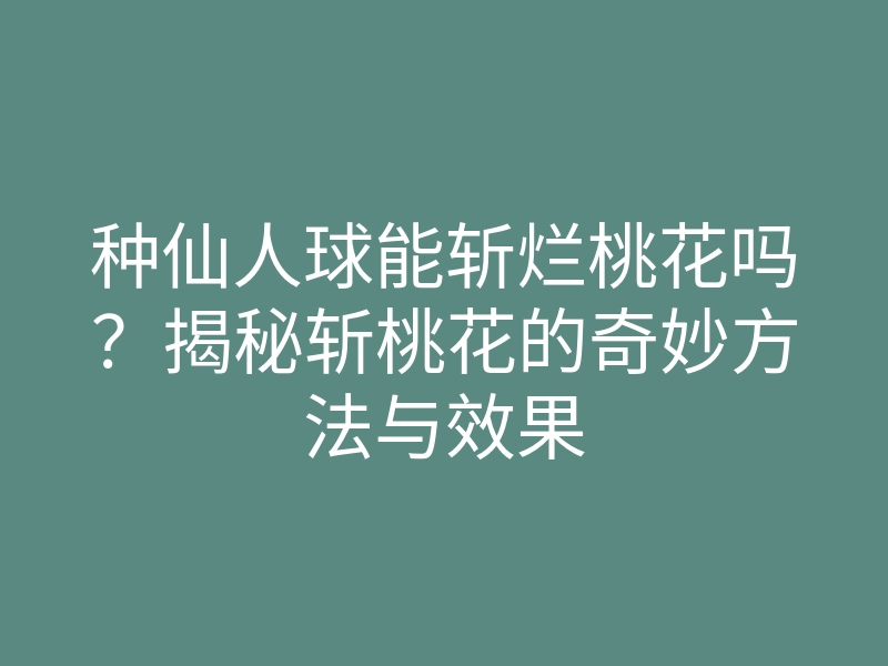 种仙人球能斩烂桃花吗？揭秘斩桃花的奇妙方法与效果