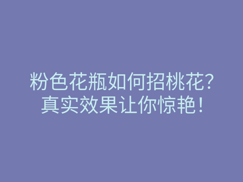 粉色花瓶如何招桃花?真实效果让你惊艳!