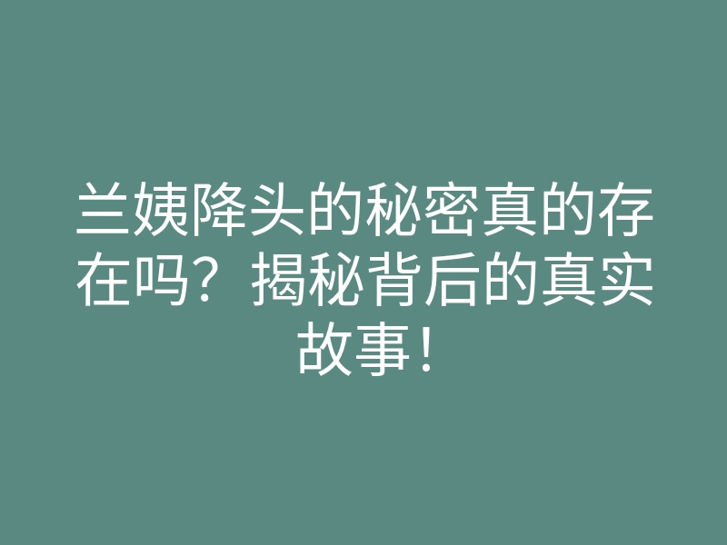 兰姨降头的秘密真的存在吗?揭秘背后的真实故事!