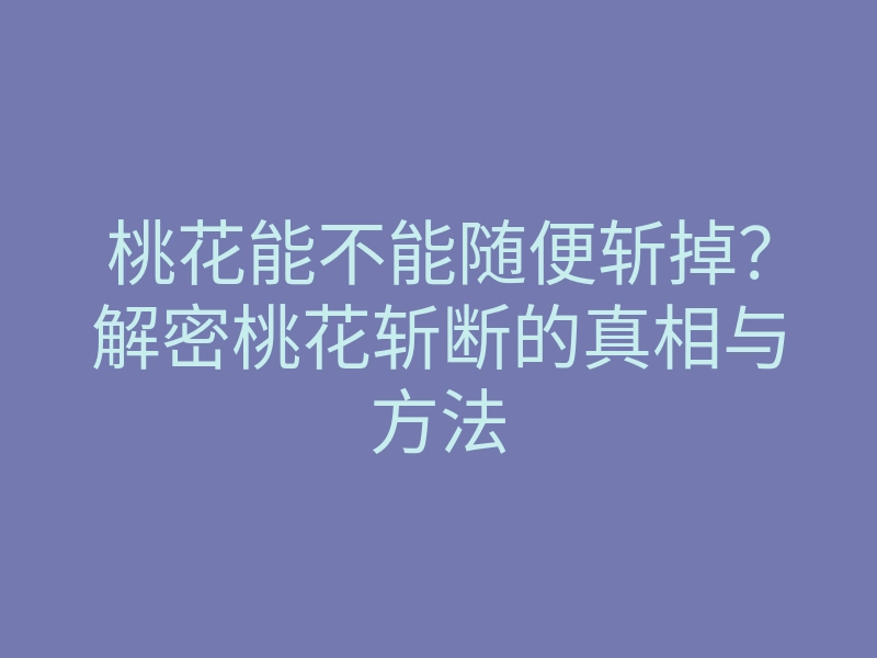 桃花能不能随便斩掉?解密桃花斩断的真相与方法