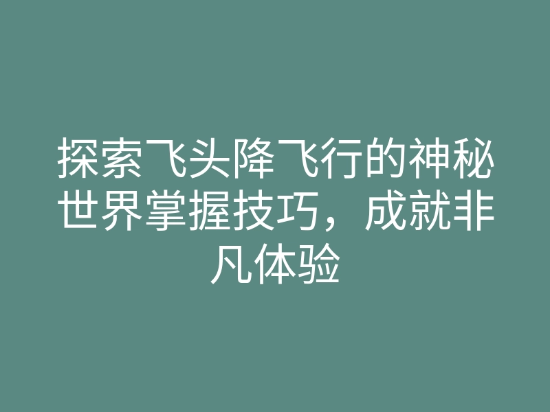 探索飞头降飞行的神秘世界掌握技巧,成就非凡体验