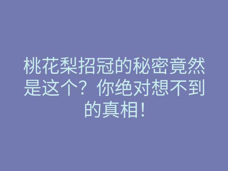 桃花梨招冠的秘密竟然是这个？你绝对想不到的真相！