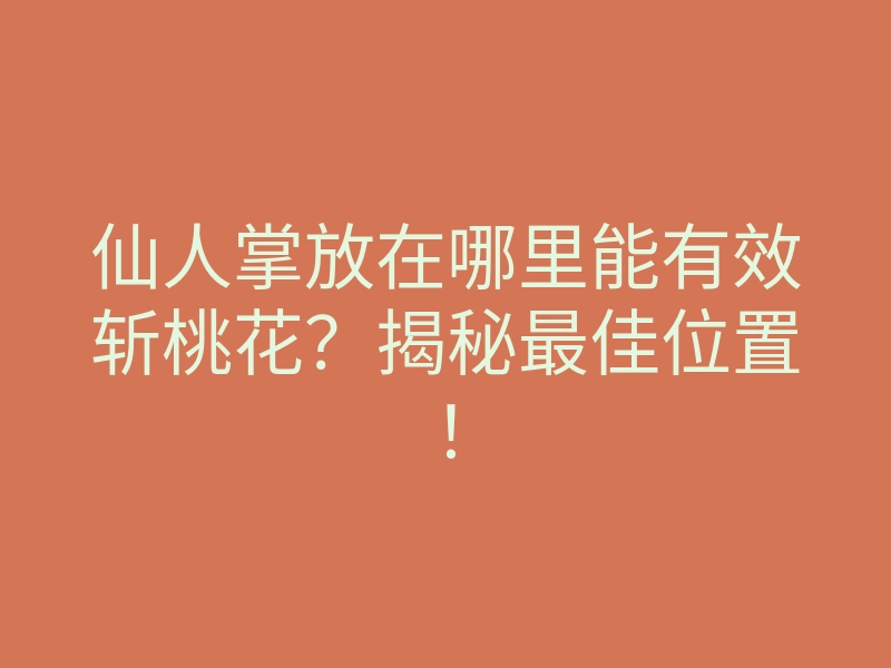仙人掌放在哪里能有效斩桃花?揭秘最佳位置!