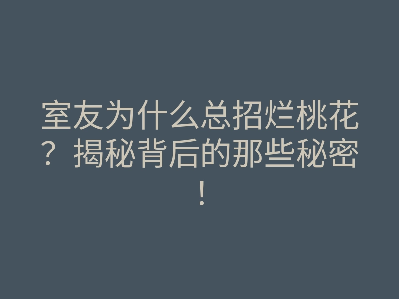室友为什么总招烂桃花?揭秘背后的那些秘密!