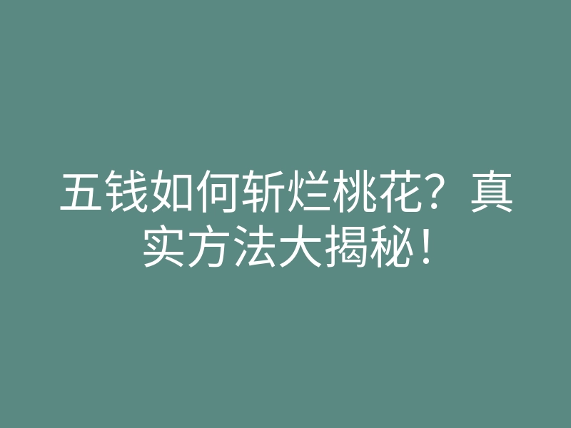 五钱如何斩烂桃花？真实方法大揭秘！