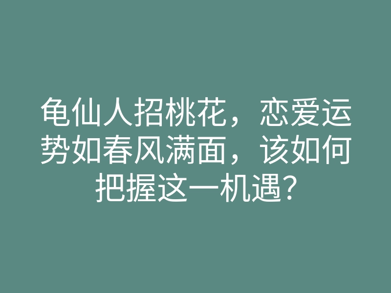 龟仙人招桃花,恋爱运势如春风满面,该如何把握这一机遇?