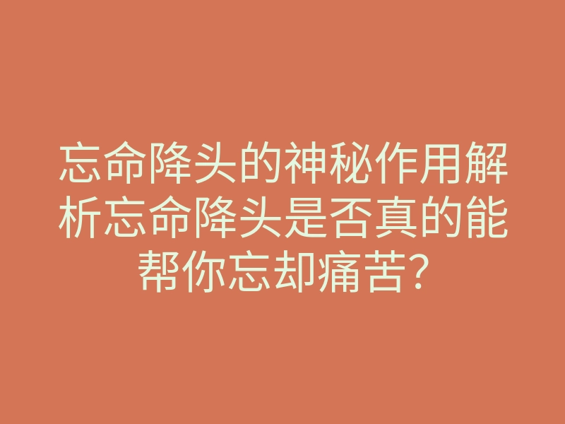 忘命降头的神秘作用解析忘命降头是否真的能帮你忘却痛苦?