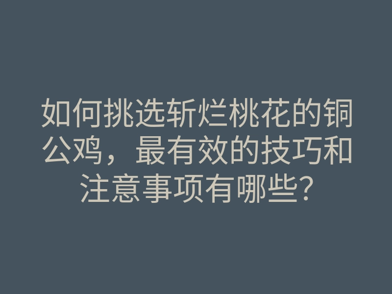 如何挑选斩烂桃花的铜公鸡,最有效的技巧和注意事项有哪些?