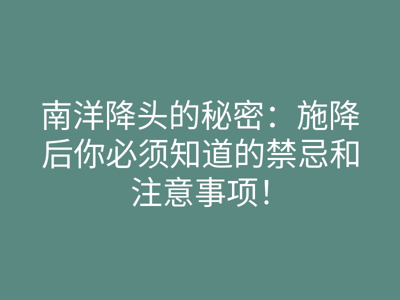 南洋降头的秘密:施降后你必须知道的禁忌和注意事项!