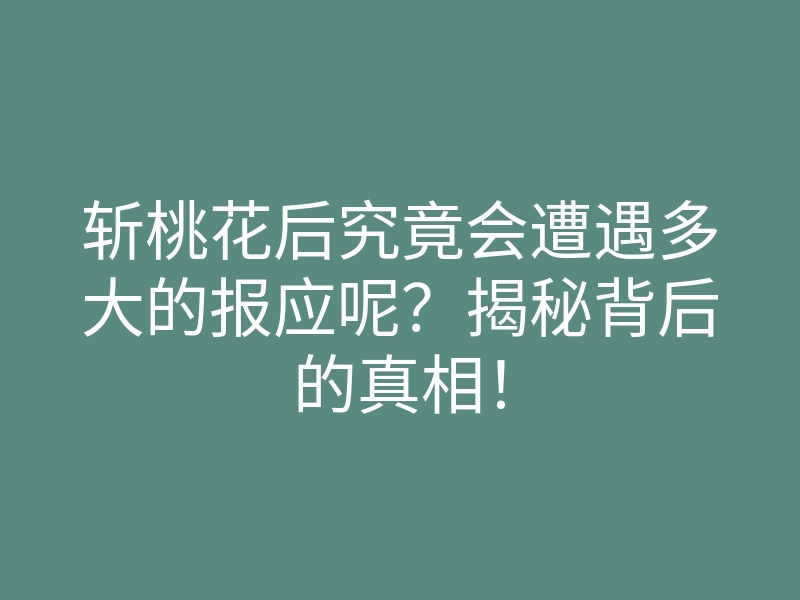 斩桃花后究竟会遭遇多大的报应呢?揭秘背后的真相!
