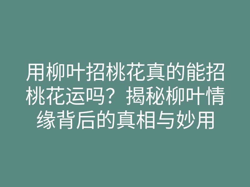 用柳叶招桃花真的能招桃花运吗?揭秘柳叶情缘背后的真相与妙用