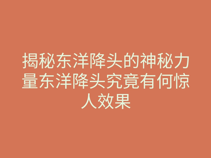 揭秘东洋降头的神秘力量东洋降头究竟有何惊人效果