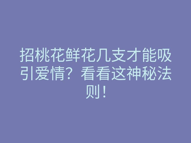 招桃花鲜花几支才能吸引爱情?看看这神秘法则!