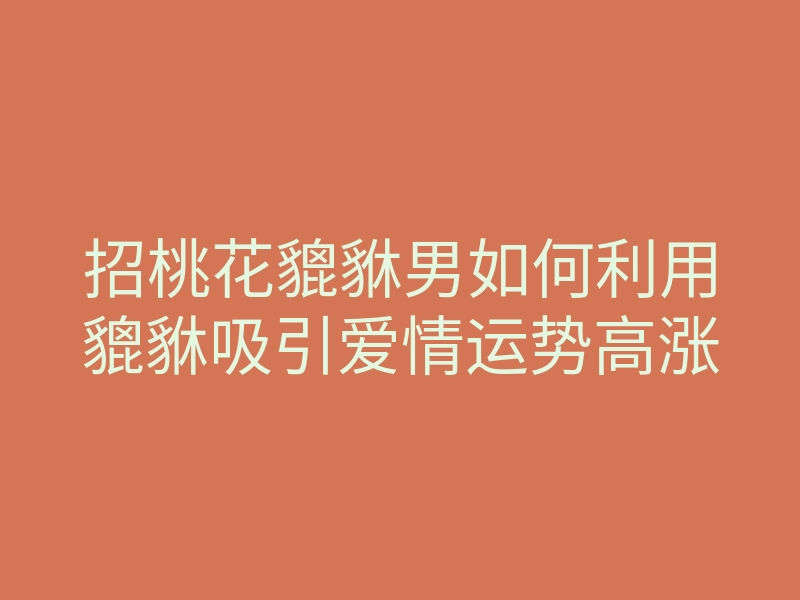 招桃花貔貅男如何利用貔貅吸引爱情运势高涨