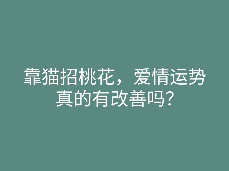 靠猫招桃花,爱情运势真的有改善吗?