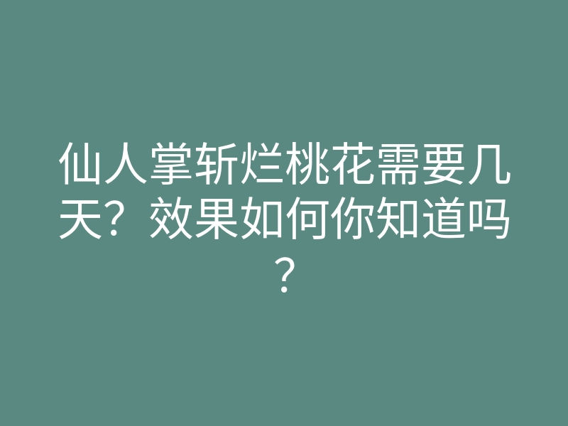 仙人掌斩烂桃花需要几天?效果如何你知道吗?