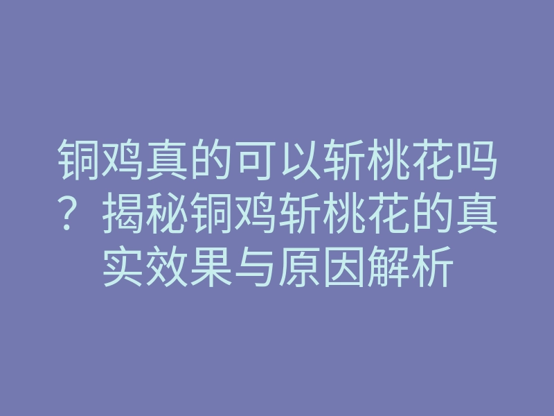 铜鸡真的可以斩桃花吗?揭秘铜鸡斩桃花的真实效果与原因解析