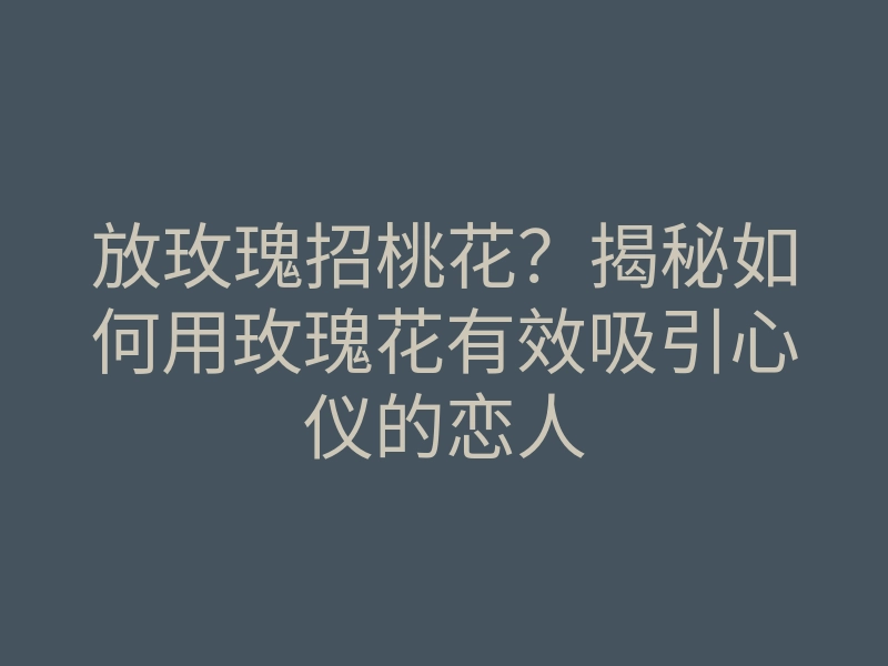 放玫瑰招桃花?揭秘如何用玫瑰花有效吸引心仪的恋人