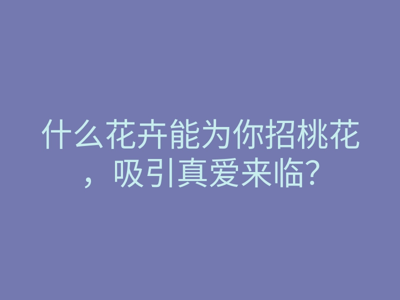 什么花卉能为你招桃花,吸引真爱来临?