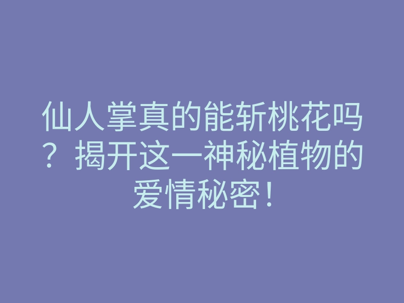 仙人掌真的能斩桃花吗?揭开这一神秘植物的爱情秘密!