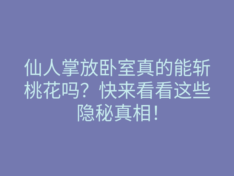 仙人掌放卧室真的能斩桃花吗？快来看看这些隐秘真相！