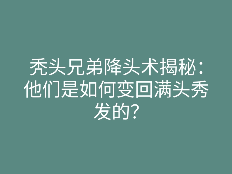 秃头兄弟降头术揭秘:他们是如何变回满头秀发的?