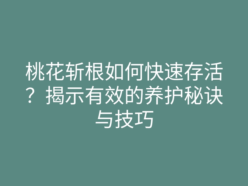 桃花斩根如何快速存活?揭示有效的养护秘诀与技巧