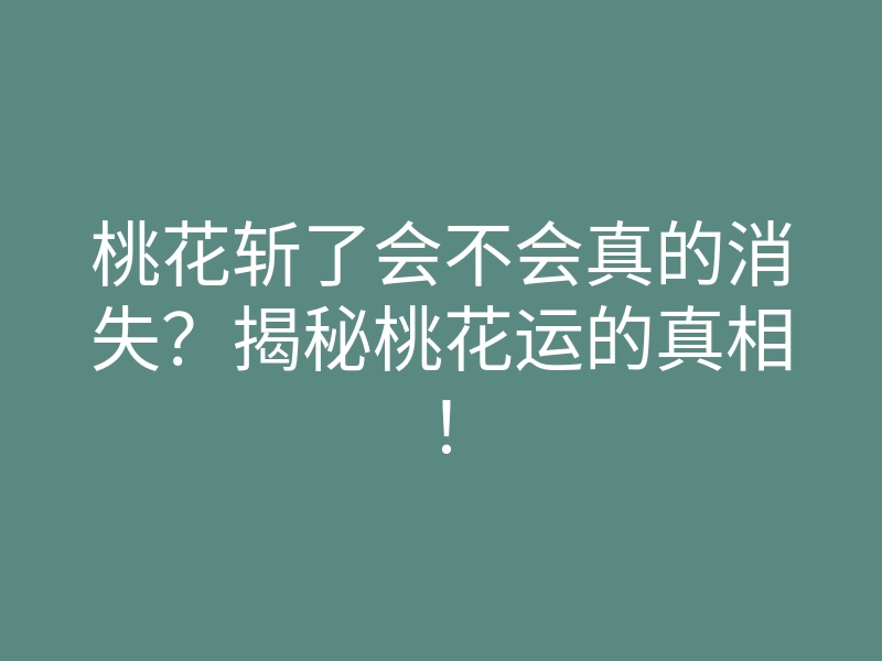 桃花斩了会不会真的消失?揭秘桃花运的真相!