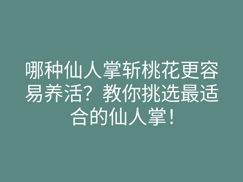 哪种仙人掌斩桃花更容易养活?教你挑选最适合的仙人掌!