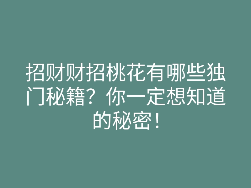 招财财招桃花有哪些独门秘籍?你一定想知道的秘密!