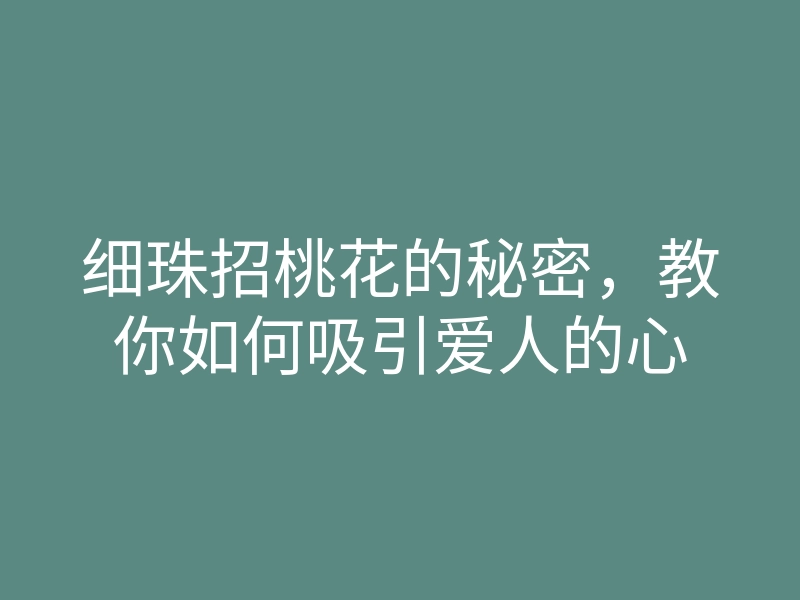 细珠招桃花的秘密,教你如何吸引爱人的心