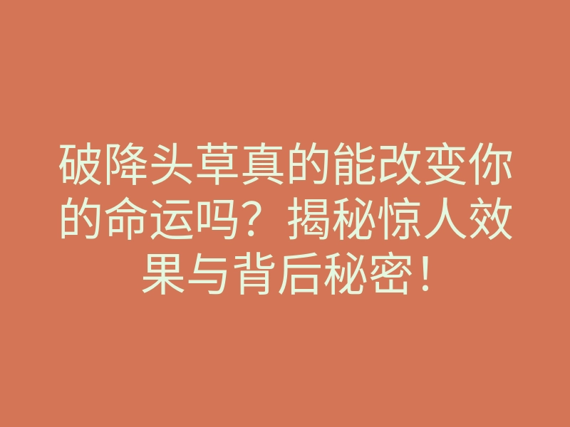 破降头草真的能改变你的命运吗?揭秘惊人效果与背后秘密!