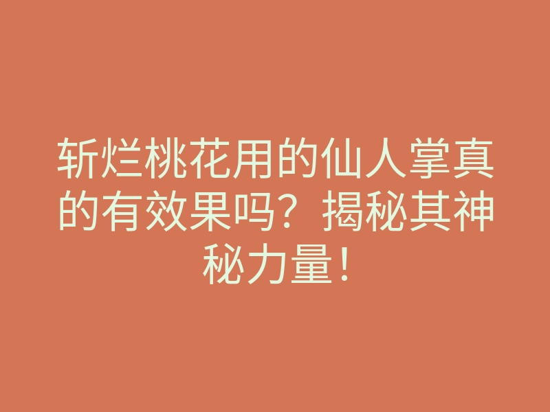 斩烂桃花用的仙人掌真的有效果吗?揭秘其神秘力量!